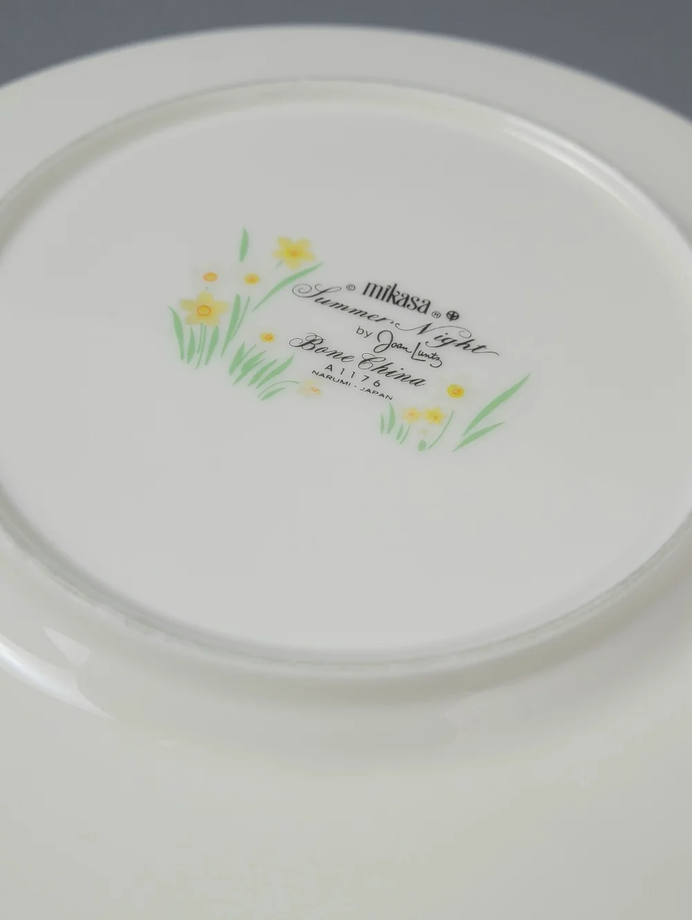 Mikasa Summer Night Joan Luntz Japan Bone China Vintage Plates- Set of Two